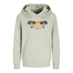 12256891-4499343-sweatshirt-a-capuche-enfant-jack-jones-summer-smu-vibe-desert-sage