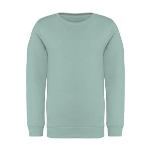 ns403-jadegreen-sweatshirt-enfant-native-spirit-green