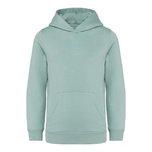ns404-jadegreen-sweatshirt-a-capuche-enfant-native-spirit-jade-green
