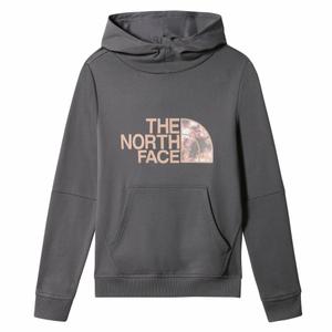 nf0a558t-174-sweatshirt-a-capuche-fille-the-north-face-drew-peak-p-o-2-0-bleu-multicolore