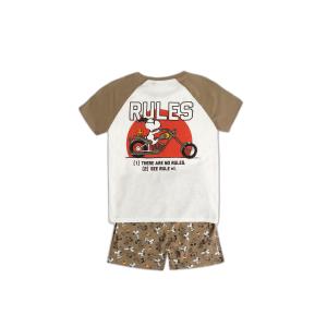 product/p/e/peanuts_62025-0-000350_blanc-marron_2.jpg