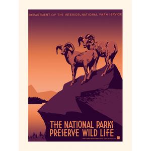 kb1205plakwildlife-poster-plakat-wild-life-marron-beige-30x40-cm