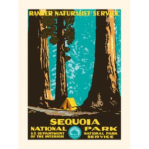 kb1208plaksequoia-poster-plakat-sequoia-noir-bleu-tu