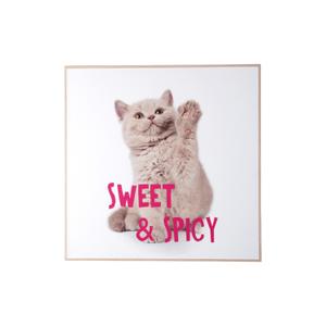 pt4186-decoration-murale-present-time-kitten-sweet-spicy-multicolore-40x3-cm