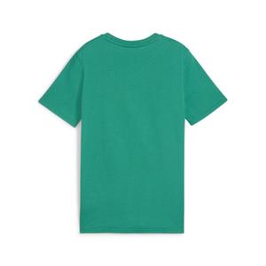 658616-05-t-shirt-enfant-puma-teamgoal-casuals-green