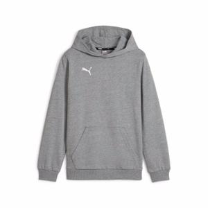 658619-33-sweatshirt-a-capuche-enfant-puma-teamgoal-gray