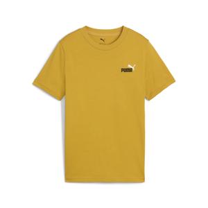 685779-62-t-shirt-enfant-puma-logo-n-1-archive-gold