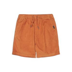 eqbws03371-cmn0-short-enfant-quiksilver-taxer-cord-marron