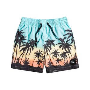 eqbjv03390-bgd6-short-de-bain-enfant-quiksilver-everyday-paradise-vl-blue
