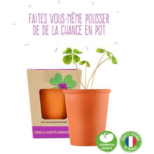 product/r/a/radis-et-capucine_a2401139_orange-vert_3.jpg