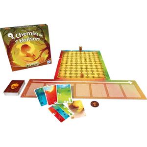scohome01fr-jeux-de-societe-le-chemin-de-la-maison-space-cowboys-multicolore-tu