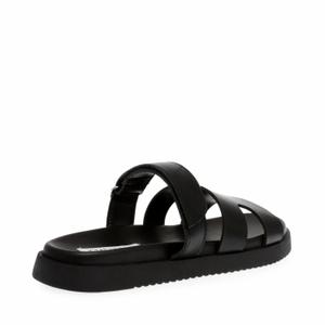 product/s/t/steve-madden_sm15000268-02002-001_4.jpg