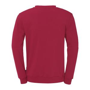product/u/h/uhlsport_100529764_2.jpg