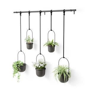 1018086-040-lot-de-5-pots-suspendus-umbra-triflora-black-tu
