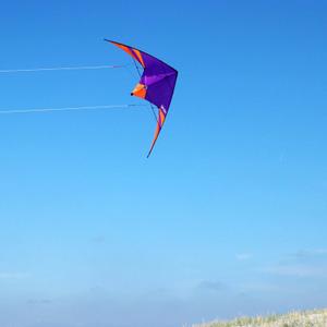product/w/o/wolkensturmer_wsskydo_orange-violet_4.jpg