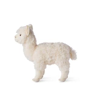 product/w/w/wwf_15198001_blanc_2.jpg